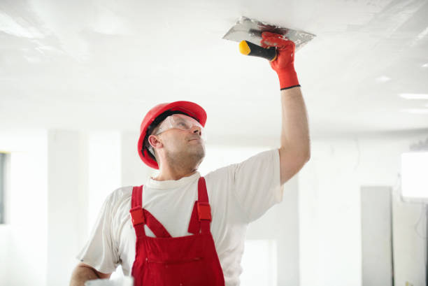 Best Water Damage & Mold Remediation  in Avimor, ID